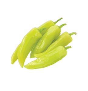 Capsicum