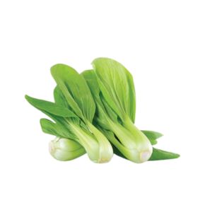 Pakchoi